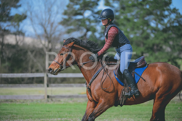 JJS_5148