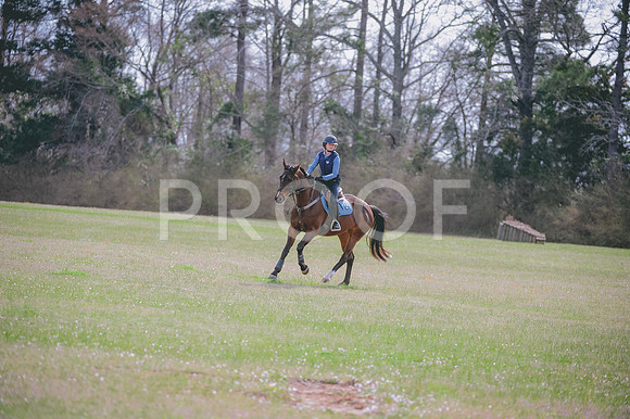 JJS_5332