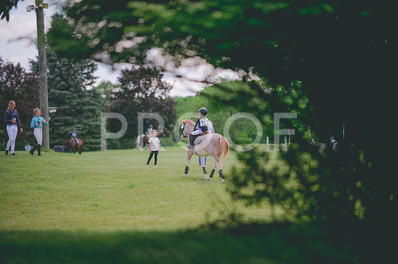 JJS_1274