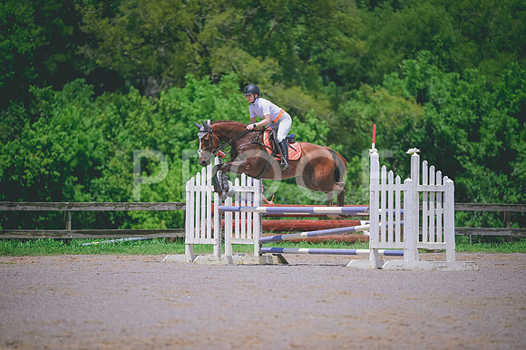 DSC_4528