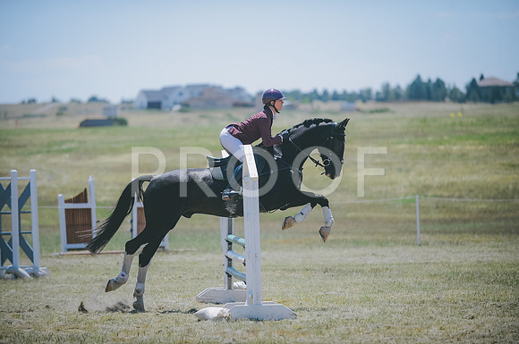 JJS_8522