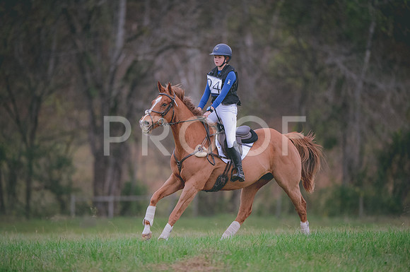 JJS_0269