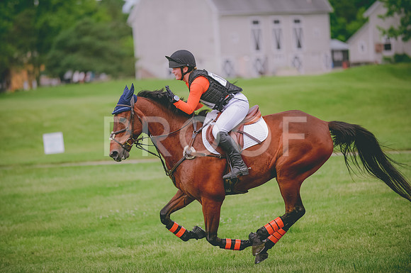 JJS_0540