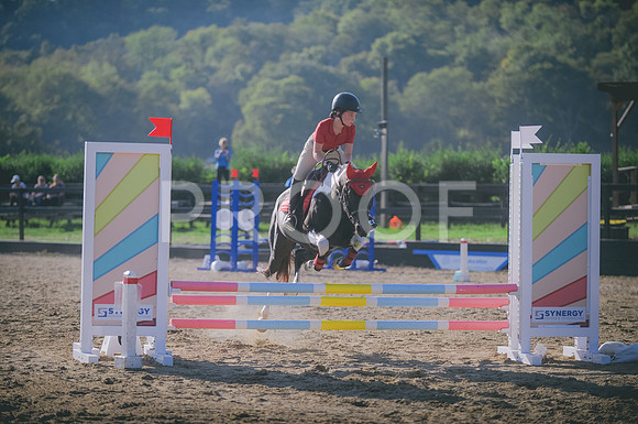 JJS_7851A