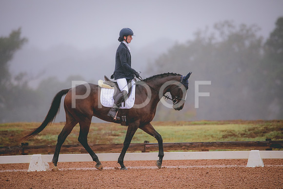 RWP_0741