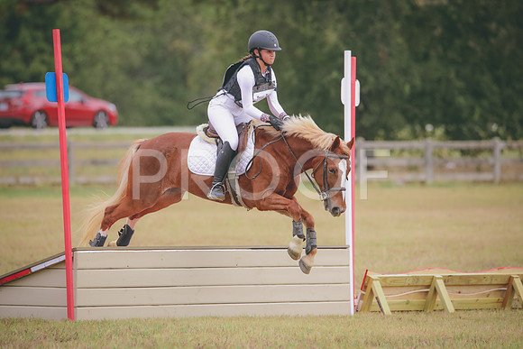RWP_3587