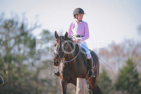 JJS_8019