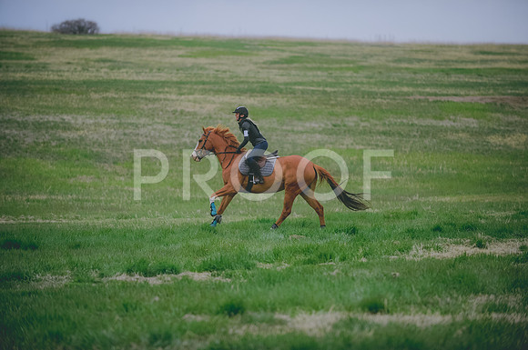 000_9842