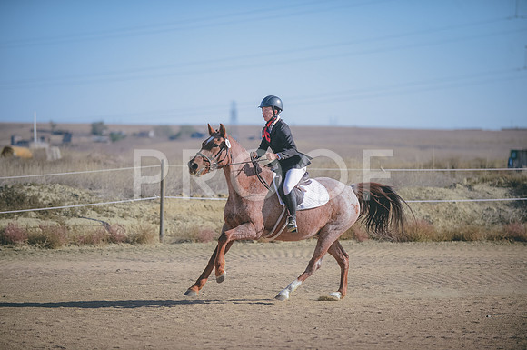 JJS_1414