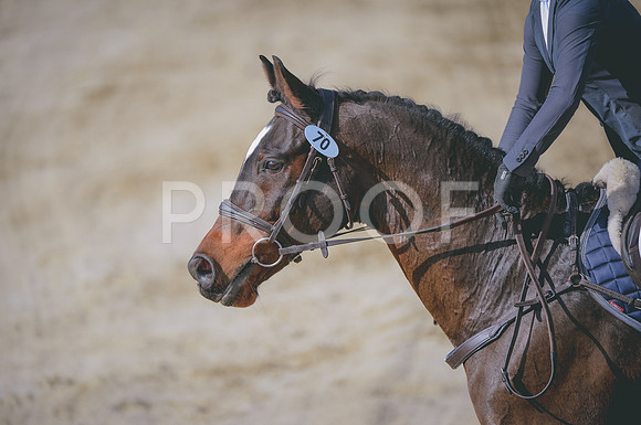JJS_5350