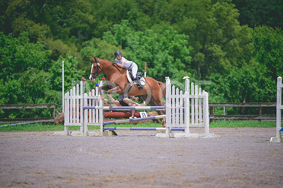 DSC_4393
