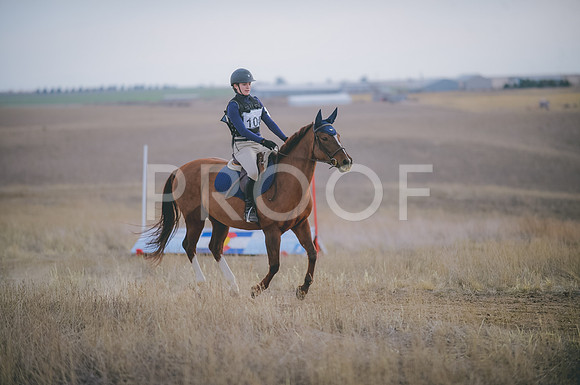 JJS_6286A