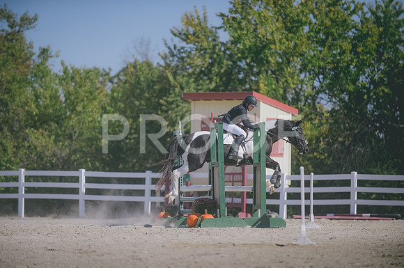 JJS_3228