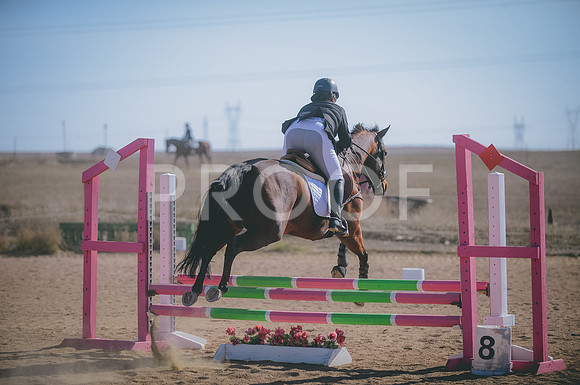 JJS_2580