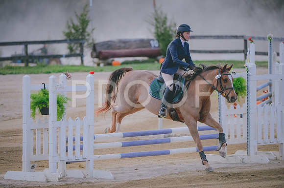 JJS_1365