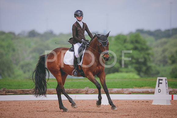 RWP_4528