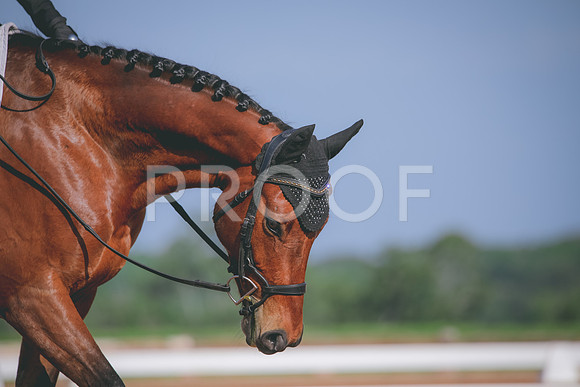 RWP_3860