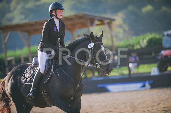 JJS_0446