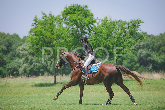 RWP_3279