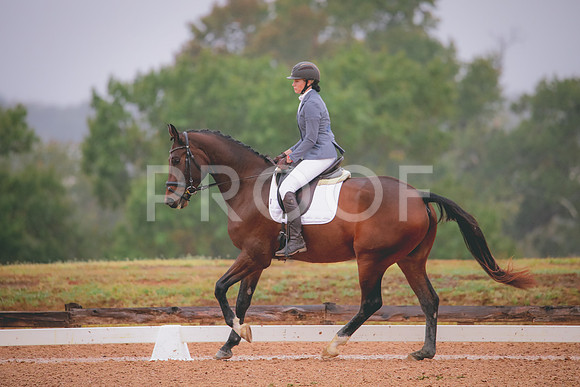 RWP_1078