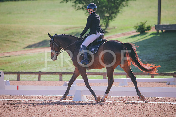 RWP_9319