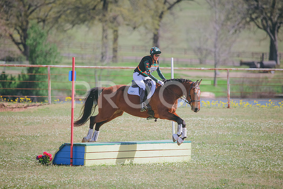 RWP_1368