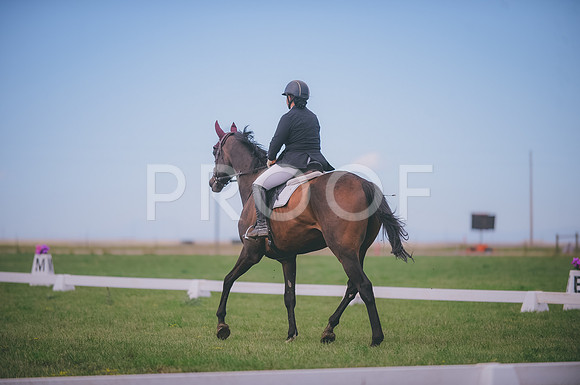 JJS_0878