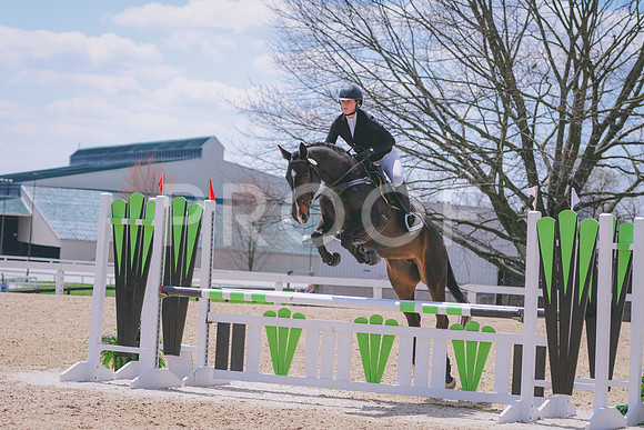 DSC_2754