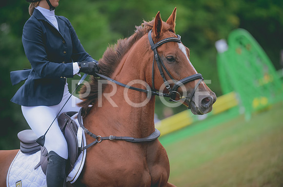 JJS_7818