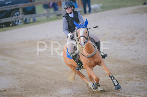 JJS_1264
