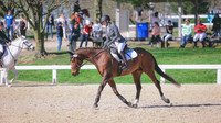 0N0A0454