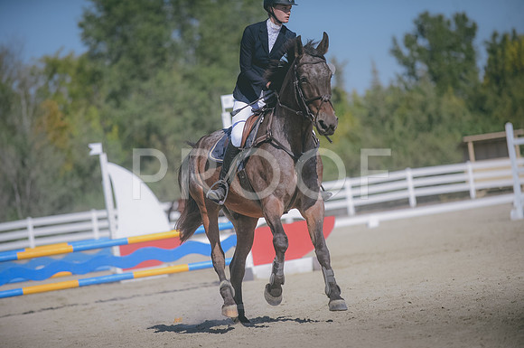 JJS_3191