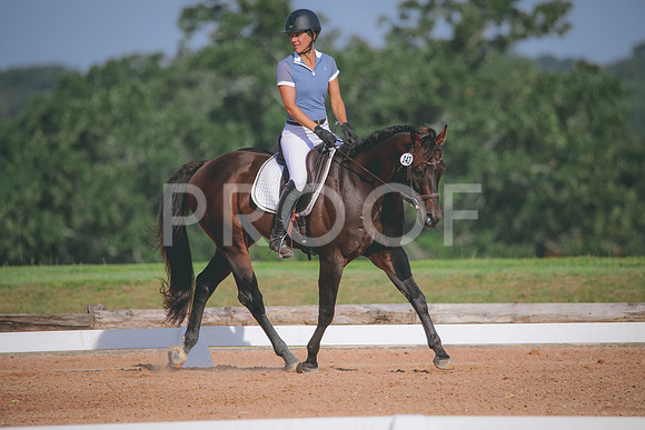RWP_4591
