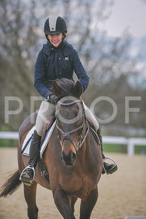 DSC_0378 copy