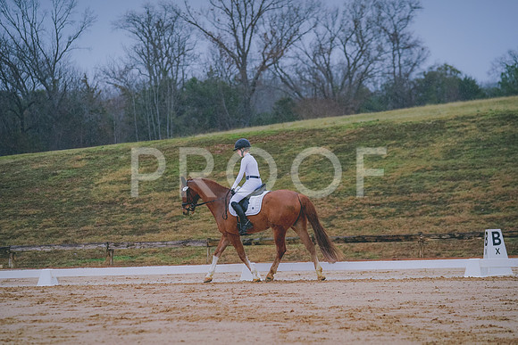 DSC09217