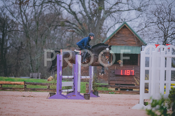 000_2361