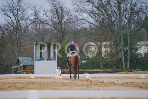 DSC09785