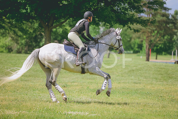 3T5A8137