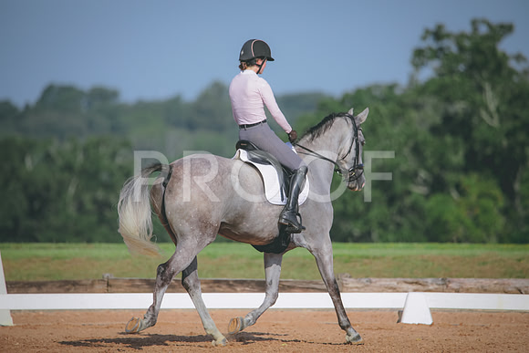RWP_4558