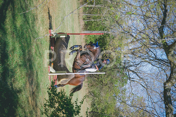 DSC_1488