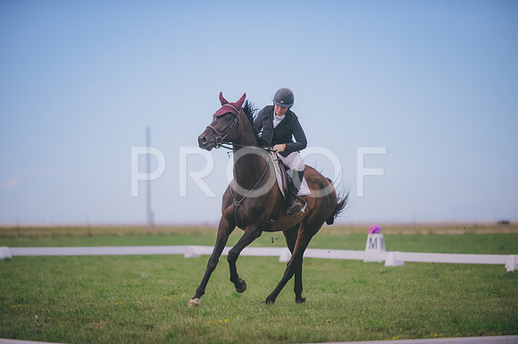 JJS_0978