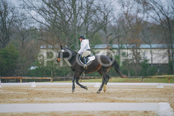 DSC00061