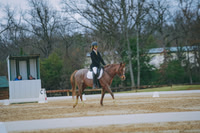 DSC00316
