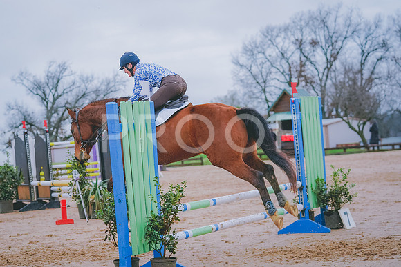 DSC02764