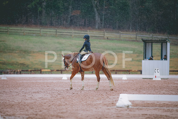 _RI_1318