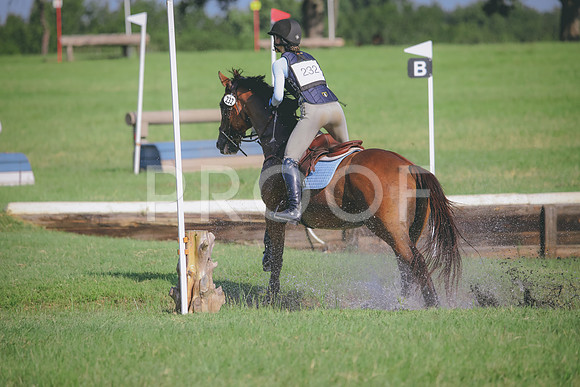 RWP_6208