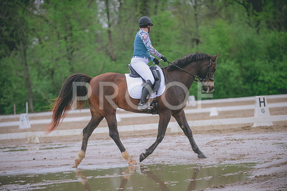 JJS_0944