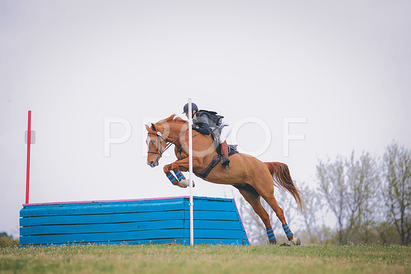RWP_8814
