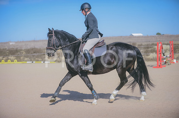 JJS_6202A