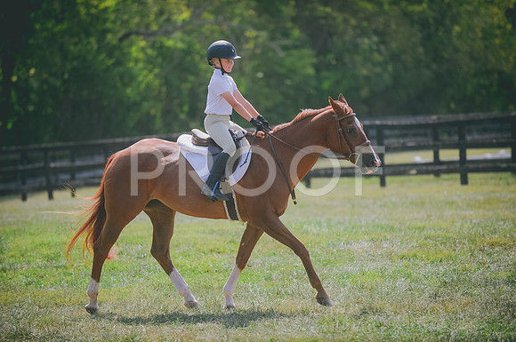 JJS_0117